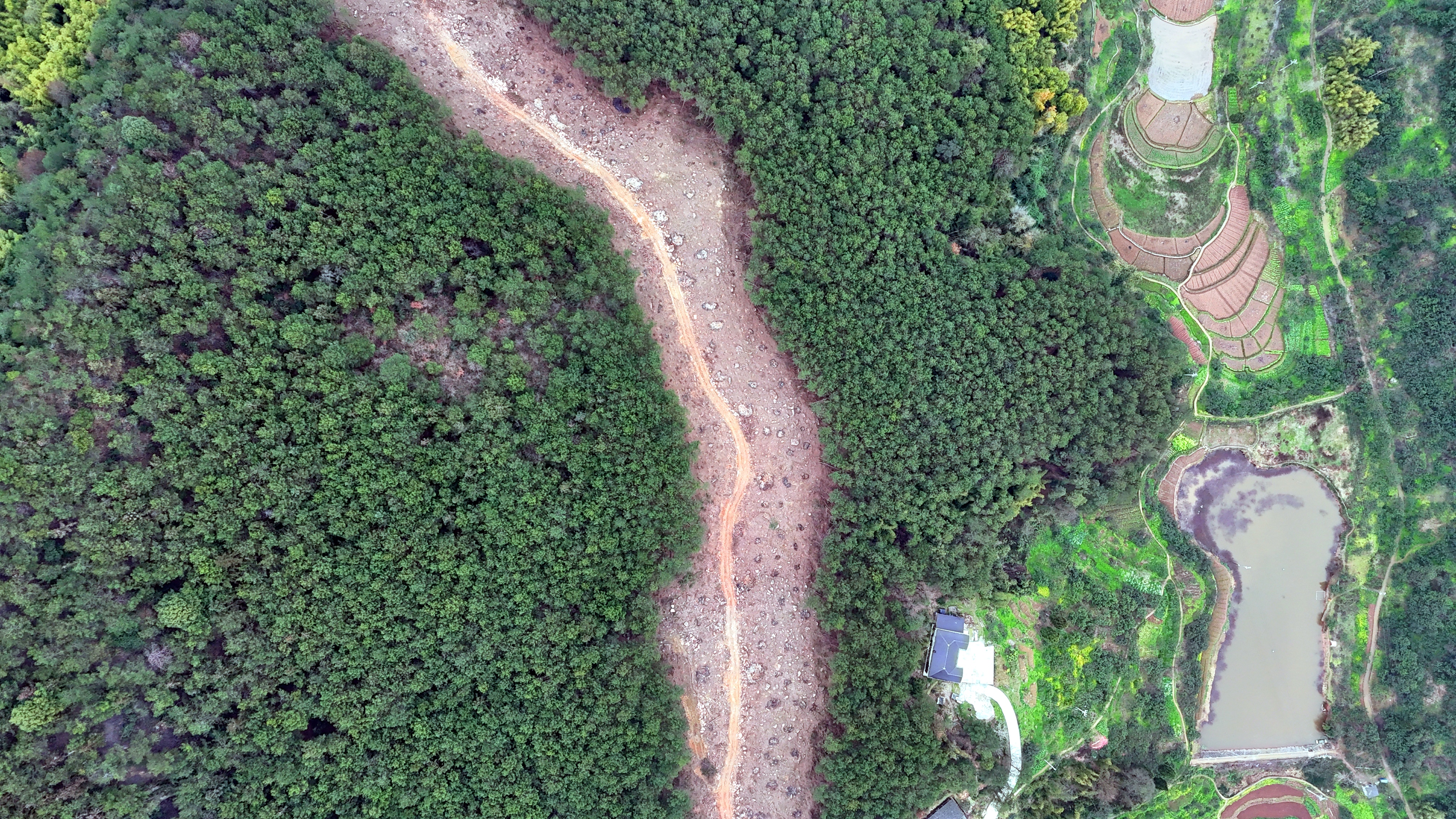 筑牢生态屏障 守护青山常绿 | 铜梁区生物防火隔离带项目建设进入收尾冲刺阶段