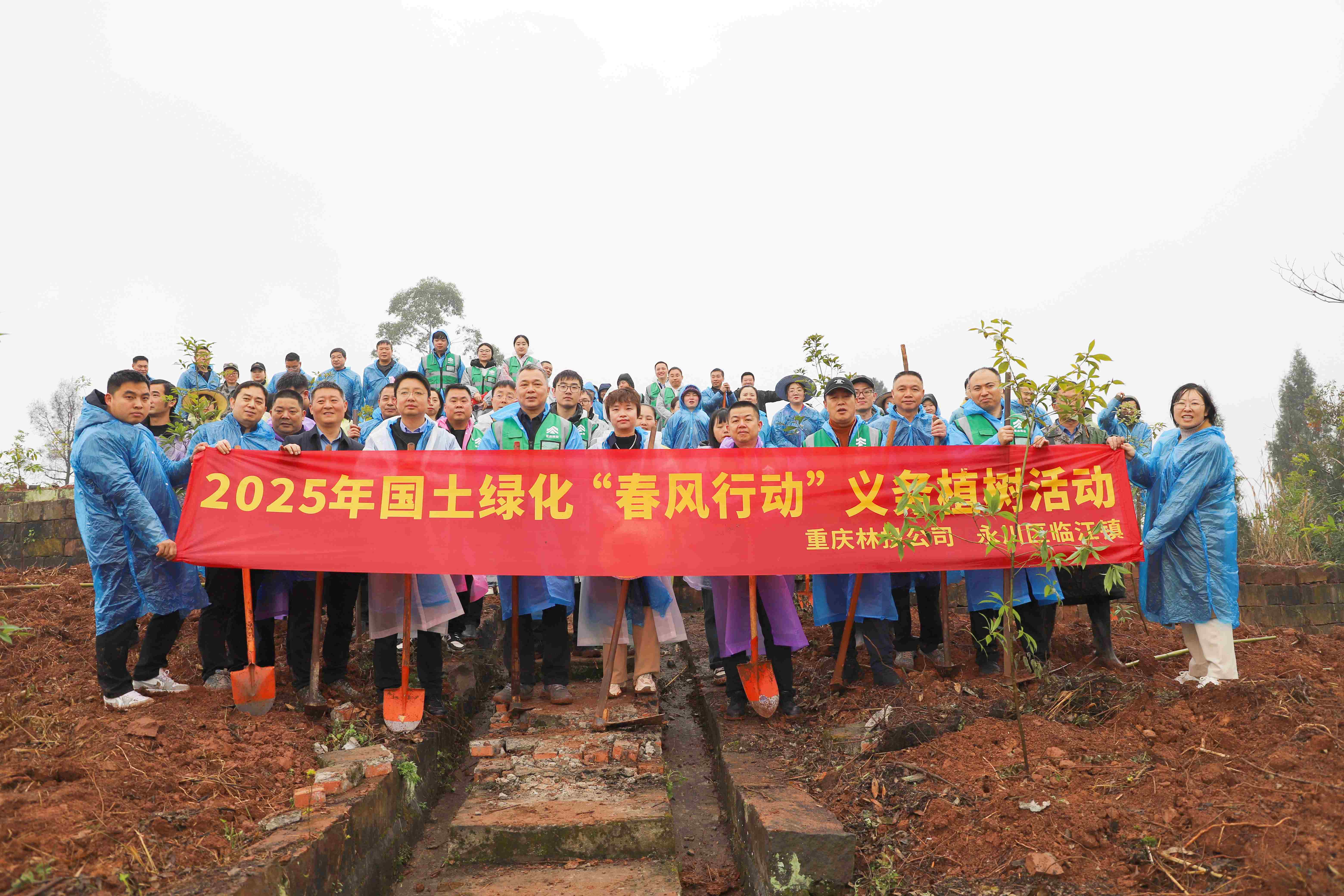 重庆林投公司开展2025年国土绿化“春风行动” 义务植树活动