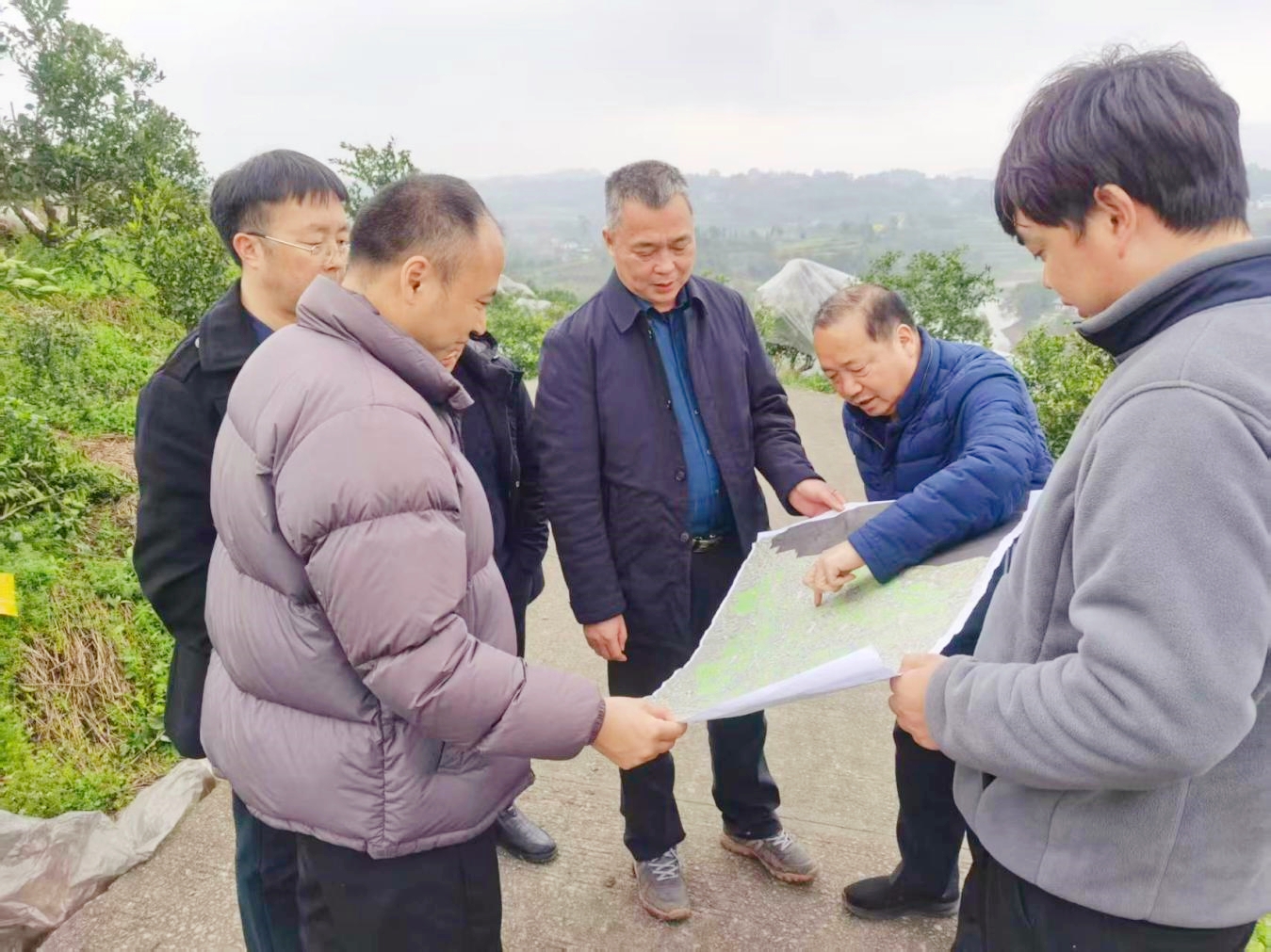 罗廉调研永川区国家储备林项目建设