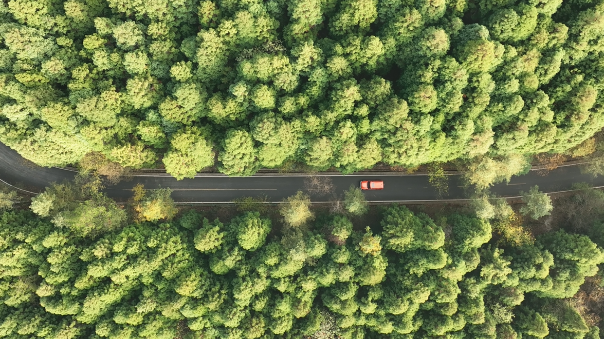 完成50万亩！重庆林投公司国储林项目林地经营权证办理取得重大突破