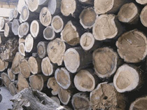 Import and export business