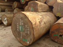 Import and export business